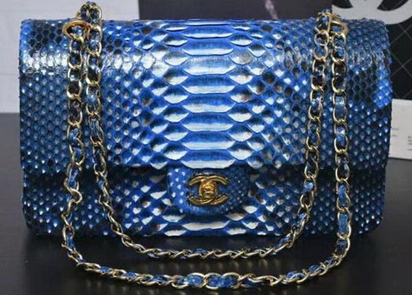 Chanel 2.55 Series Flap Bags Light Blue Original Python Leather A1112SA Gold HY20506VF54