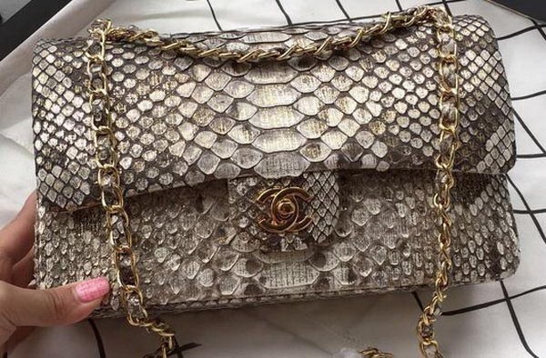 Chanel 2.55 Series Flap Bags OffWhite Original Python Leather A1112SA Gold HY19079Is79