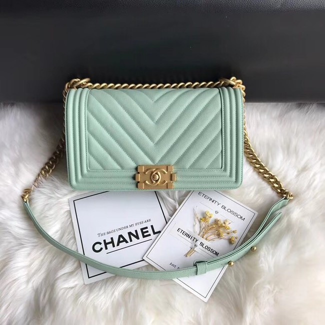 Chanel Leboy Original Caviar leather Shoulder Bag A67086 Light green gold chain HY20967wv88