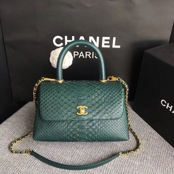 Chanel Original Python Leather Tote Bag 8119D HY25436NP24