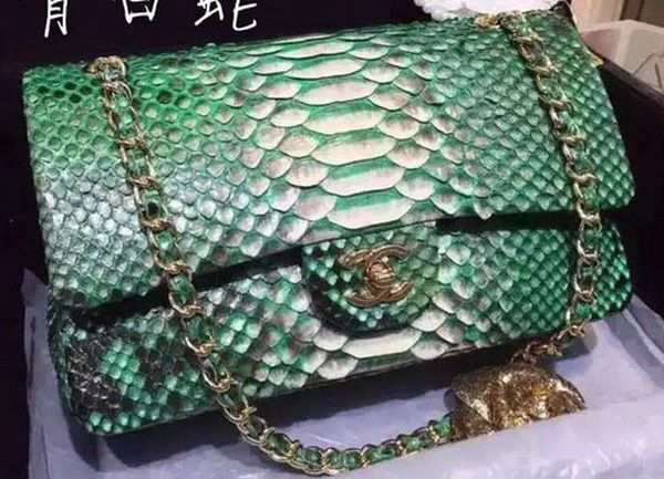 Fake Chanel 2.55 Series Flap Bags Deep Green Original Python Leather A1112SA Gold HY4031RY48