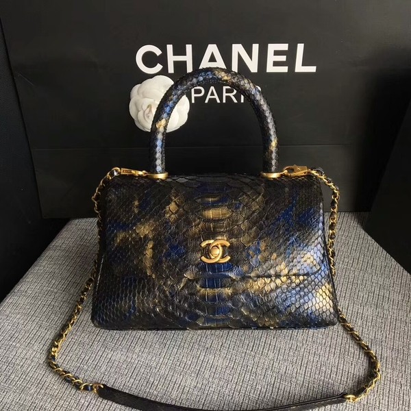 Fashion Chanel Original Python Leather Tote Bag 8119J HY22987wc24