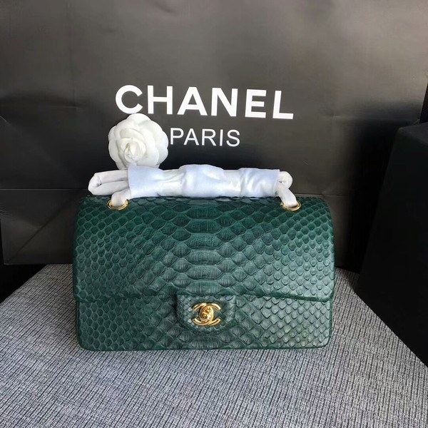 Imitation Chanel Original Python Leather Shoulder Bag CF1112X HY11950SU34