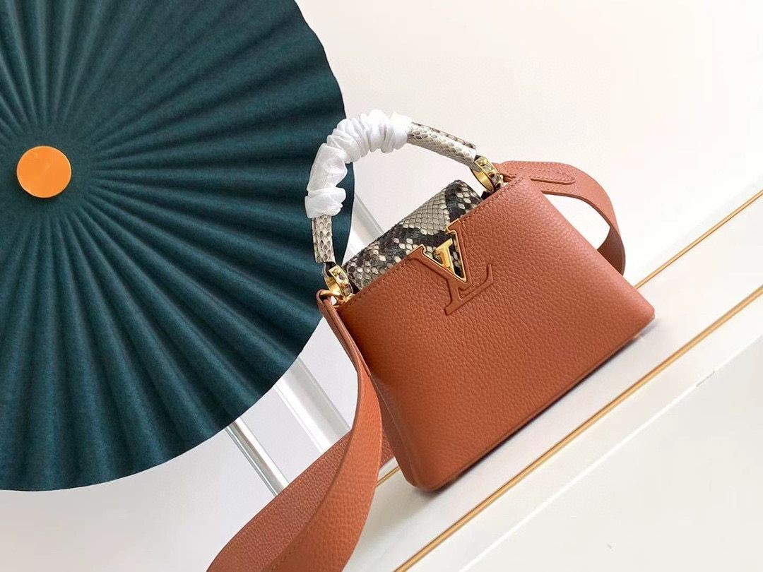 Louis Vuitton CAPUCINES Original Leather PM M96467 Brown HY5988Gm74