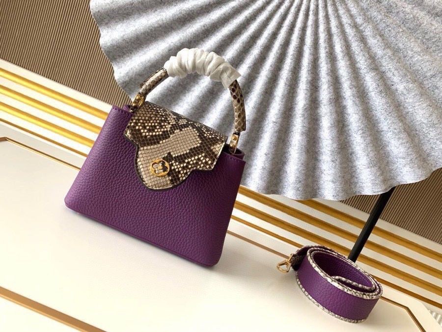 Louis Vuitton CAPUCINES Original Leather PM M96467 Purple HY20858PC54