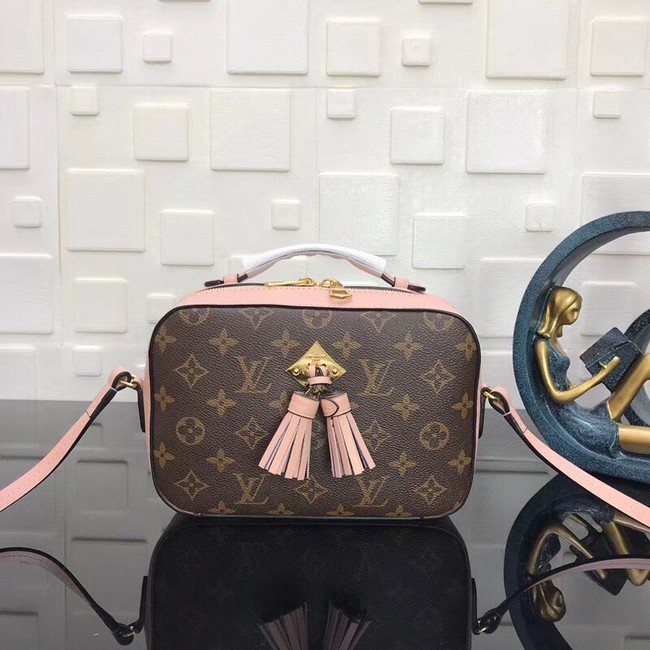 Louis Vuitton Monogram Canvas original Leather SAINTINGE N40154 pink HY16011pB23