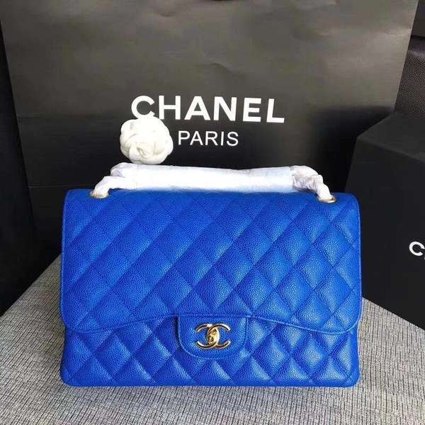 Top Chanel Flap Shoulder Bags Blue Original Calfskin Leather CF1113 Gold HY14626yq38