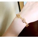 AAA Louis Vuitton Bracelet CE5580 HY5429zK34