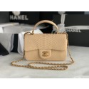 AAAAA Chanel Snake skin mini flap bag with top handle AS2431 apricot HY24283aM93
