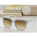 AAAAA Imitation Chanel Sunglasses Top Quality CHS00976 HY23662Sy67