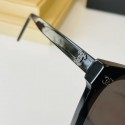 Best Quality Chanel Sunglasses Top Quality CHS02195 HY13294xb51