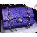 Chanel 2.55 Series Flap Bags Royal Original Python Leather A1112SA Gold HY1597nE34