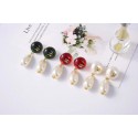 Chanel Earrings CE4346 HY21178Tk78
