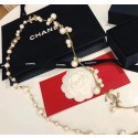 Chanel Necklace CE4686 HY17444Gw67
