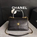 Chanel Original Python Leather Tote Bag 8119A HY3854VI95
