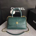 Chanel Original Python Leather Tote Bag 8119D HY25436NP24
