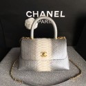 Chanel Original Python Leather Tote Bag 8119F HY13999uZ84