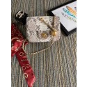 Chanel Original Small Snake skin flap bag AS1115 light grey HY18529tg76