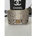 Chanel SMALL FLAP BAG Snakeskin & Gold-Tone Metal AS3214 gray HY5036rf34