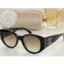 Chanel Sunglasses Top Quality CHS00651 Sunglasses HY24990nU55