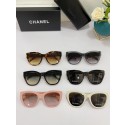 Chanel Sunglasses Top Quality CHS02231 HY22328fo19