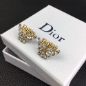Dior Earrings CE8363 HY26999oK58
