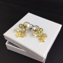 Dior Earrings CE8364 HY8683Ty85