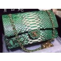 Fake Chanel 2.55 Series Flap Bags Deep Green Original Python Leather A1112SA Gold HY4031RY48