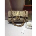 Fake Chanel Classic Handbag Python & Gold-Tone Metal A01112 gold HY586pE71