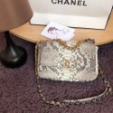 Fake Cheap CHANEL 19 Flap Bag Original Snake skin flap bag AS1160 grey HY5455Kt89