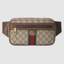 Gucci Ophidia GG belt bag 574796 brown HY11465Av26