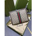 Gucci Ophidia pouch 625549 brown HY26754bm74