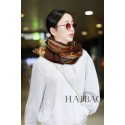 Hot Louis Vuitton Scarf LVS00023 Scarf HY15159io40