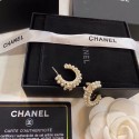 Imitation Chanel Earrings CE4768 HY25948uq94