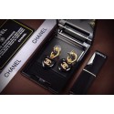 Imitation Chanel Earrings CE5611 HY9255KV93