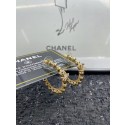Imitation Chanel Earrings CE7139 HY18044Fo38