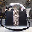 Imitation Top Louis vuitton original CAPUCINES N94220 BLACK HY21577tr16