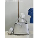Louis Vuitton CAPUCINES MINI M80239 silver HY7995lu18