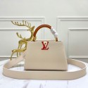 Louis Vuitton CAPUCINES MM M58608 Beige HY6831JD63