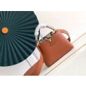 Louis Vuitton CAPUCINES Original Leather PM M96467 Brown HY5988Gm74