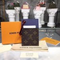 Louis Vuitton CARD HOLDER N60166 HY1124nQ90