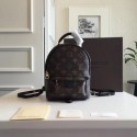 Louis Vuitton Monogram Canvas PALM SPRINGS BACKPACK MINI M41562 HY17141TP23