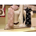 Louis Vuitton Scarf LV00026 HY697gN72