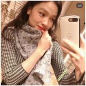 Louis Vuitton Scarf LV00032 Scarf HY6648vN22