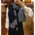 Louis Vuitton Scarf LV00144 HY24694Yo25