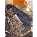 Louis Vuitton Scarf LVS9231C HY20737yk28