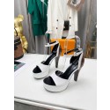 Louis Vuitton Shoes LVS00129 Heel 11.5CM HY15294yC28