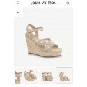Louis Vuitton Shoes LVS00220 Heel 13CM HY13764EB28