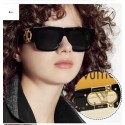 Louis Vuitton Sunglasses Top Quality LVS00083 Sunglasses HY8204Rc99