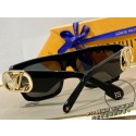Louis Vuitton Sunglasses Top Quality LVS01083 HY21632Il41